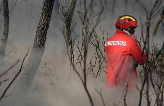Solidários, mas só quando tudo arde?