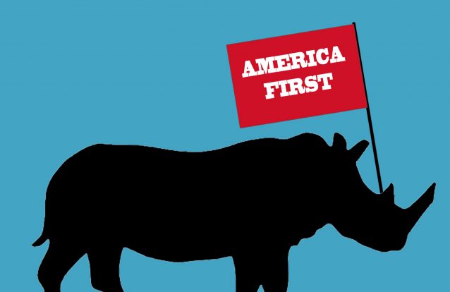 Somos Homens ou rinocerontes?