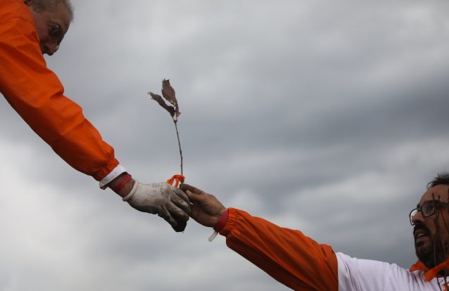 Terra de Esperança vai plantar 500 mil árvores nos territórios queimados