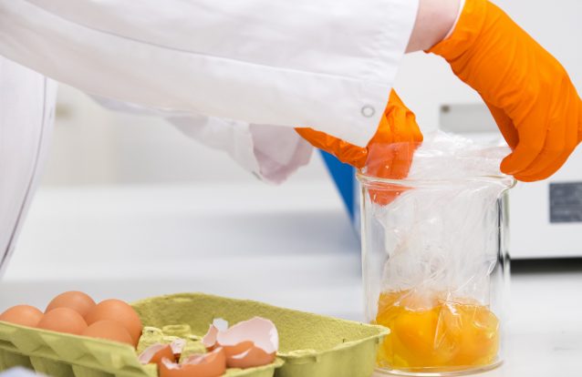 UE alerta países europeus sobre eventual entrada de ovos contaminados