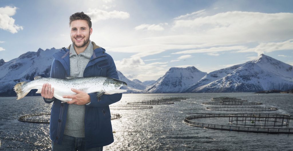Um Salmão sustentável e rico em nutrientes