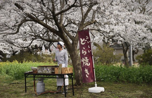 'Uma Pastelaria em Tóquio' é um Ratatui à japonesa