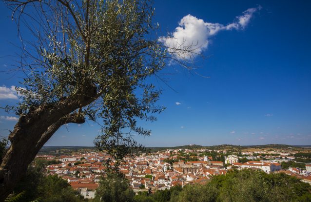 Uma viagem ao Alentejo onde tudo mexe e vibra