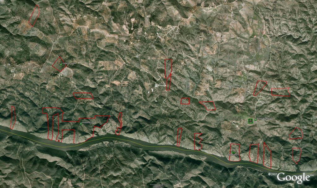 Venda de terrenos da Quercus a zona de caça vai ser decidida em Assembleia Geral