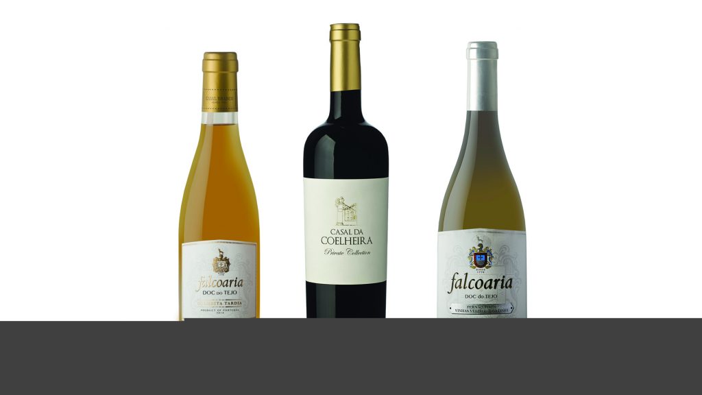 Vinhos do Tejo, muitos e bons