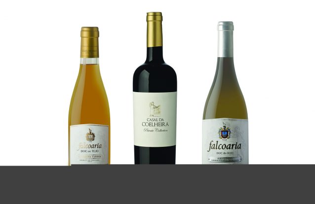 Vinhos do Tejo, muitos e bons