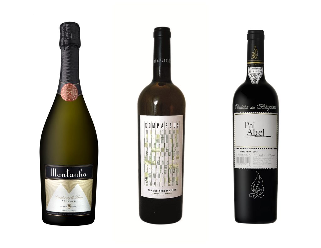 Vinhos e outros sabores: Bairrada com vida