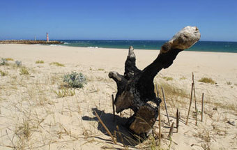 Visão | Ilha da Barreta/Deserta