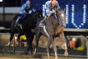 Turfe: como entender e apostar na corrida de cavalos que movimenta