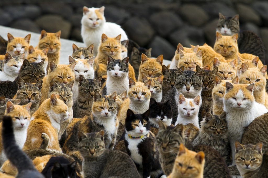 Top 25 da Reuters no Instagram 22