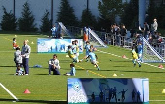A força do dragão