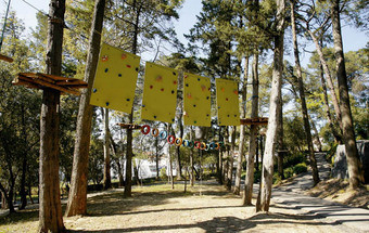 A Mata de Benfica ganhou nova vida 5