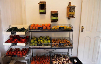 Alimentação pensada