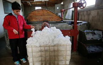 Antes calças, agora papel