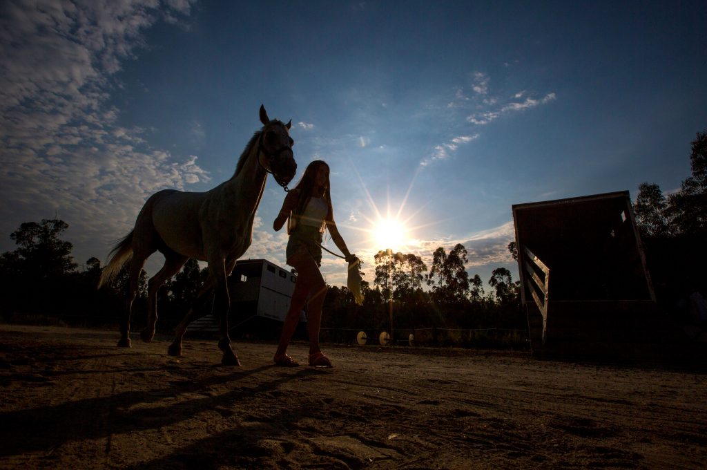 Autarquia apoia atividades equestres terapêuticas para crianças com necessidades especiais