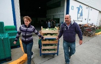 Banco Alimentar Contra a Fome recolheu 2.767 toneladas de alimentos