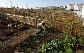 Bater à horta