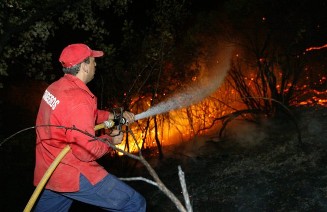 Bombeiros de Viana estão a angariar fundos para terem material de resgate de animais