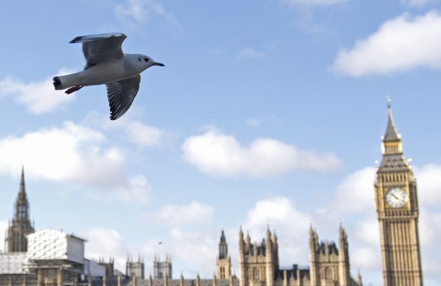 Brexit: o declínio de uma democracia