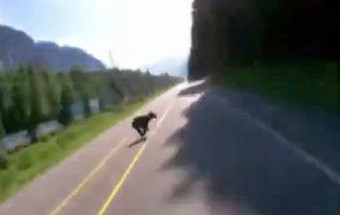 Câmara no capacete capta embate de mota com urso a 140 km/hora