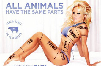 Canadá proibe anúncio de Pamela Anderson para a PETA por ser sexy e machista
