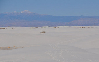 Casal francês morreu em deserto dos EUA, filho de 9 anos encontrado com vida