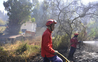 Cinco bombeiros intoxicados em incêndio num aterro na Chamusca