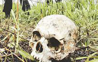 Coveiros do cemitério de Belas suspeitos de praticar tiro ao alvo com caveiras