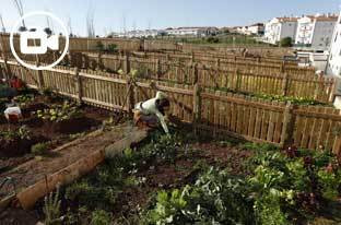 Cultivar as cidades
