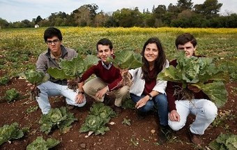 Da aula para o prato: Estudantes já doaram 40 toneladas ao Banco Alimentar