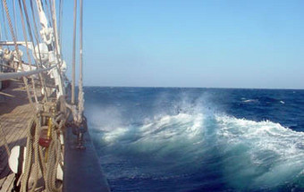 Dia Mundial dos Oceanos