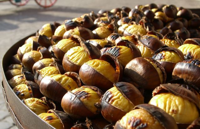 Dias de magusto