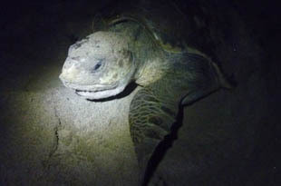 Do México à Patagónia - Um ano pela América Latina [10]