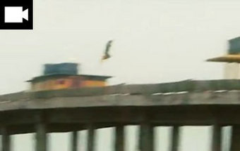 É um avião? Um pássaro? Não, é o kite-surfista voador!
