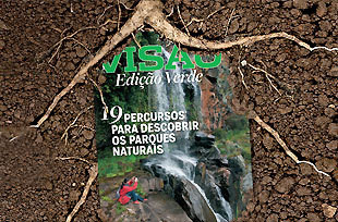 Edição especial Verde dia 7 de novembro nas bancas