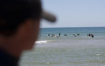 Escola de surf aproveita ondas dos catamarãs do Tejo para dar aulas solidárias