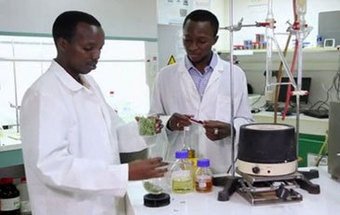Estudantes africanos criam sabonete que combate a malária