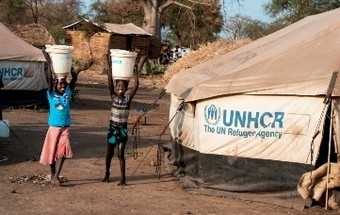 Exposição permite visitar tenda usada por famílias de refugiados