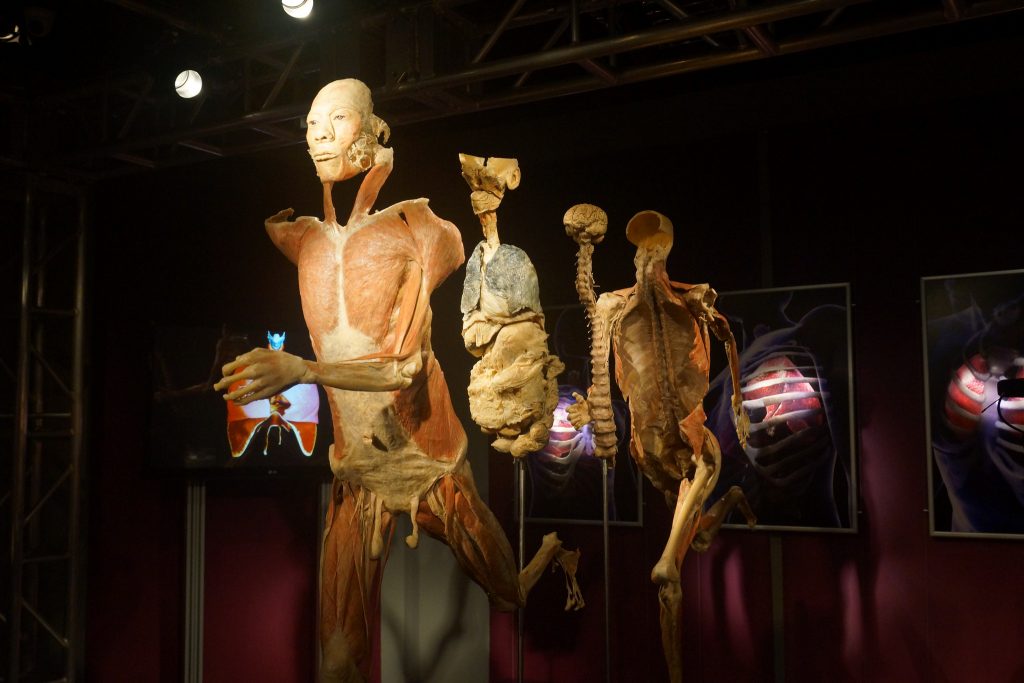 Exposição 'Real Bodies': Tão real quanto possível