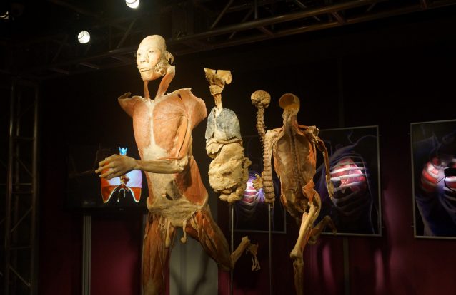 Exposição 'Real Bodies': Tão real quanto possível