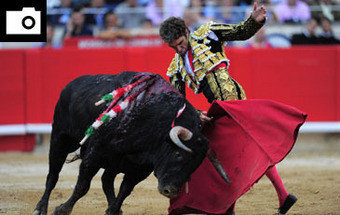 FOTOS: A última tourada na Catalunha 8