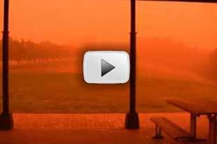 FOTOS E VÍDEO: Sydney acorda coberta de pó vermelho