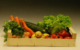 Fruta, legumes e vegetais do produtor para a sua mesa 21