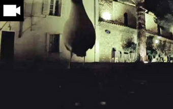 Gaivota rouba câmara e faz vídeo aéreo de Cannes