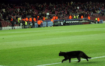 Gato Preto e macumba foram responsáveis pelo jogo Barcelona X PSG