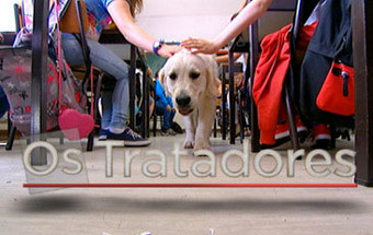Grande Reportagem SIC: Os tratadores