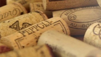 Green Cork entre os projetos portugueses a concurso
