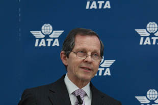IATA "arrasa" resposta dos governos à crise da cinza vulcânica