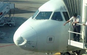 Imagens mostram estrago no nariz de avião depois de embate com ave