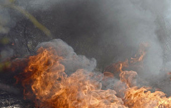 Incêndio em presépio vivo de Vila Nova de Gaia faz um morto